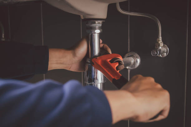 Best Plumbing Inspections & Maintenance in Herlong, CA